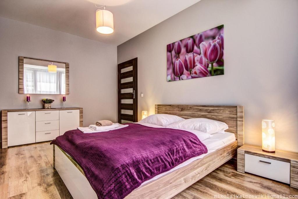 Apartamenty Oaza Deluxe Zakopane Esterno foto